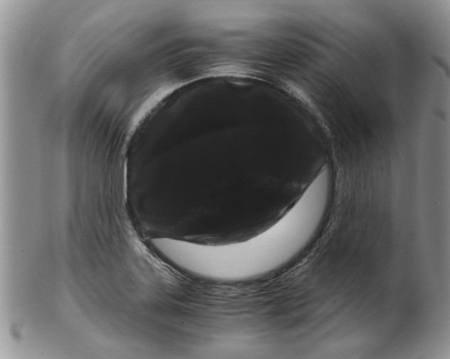 X0000099491323200806051050