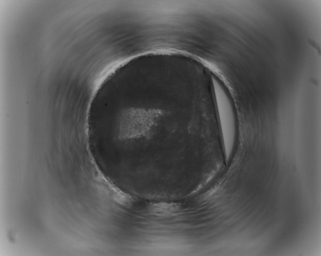 X0000099491327200806051050