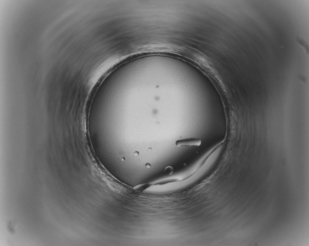 X0000099491328200806051050