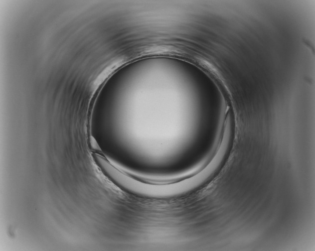 X0000099491330200806051050