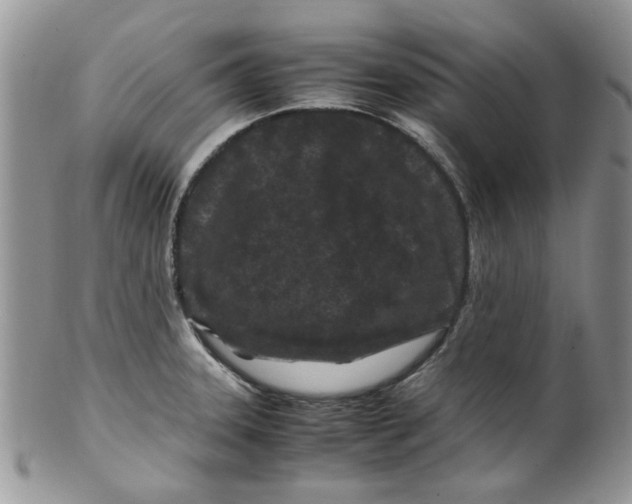 X0000099491331200806051050