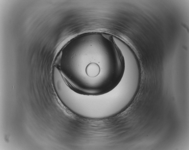 X0000099491332200806051050