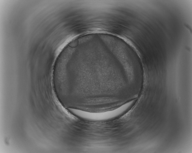 X0000099491333200806051050