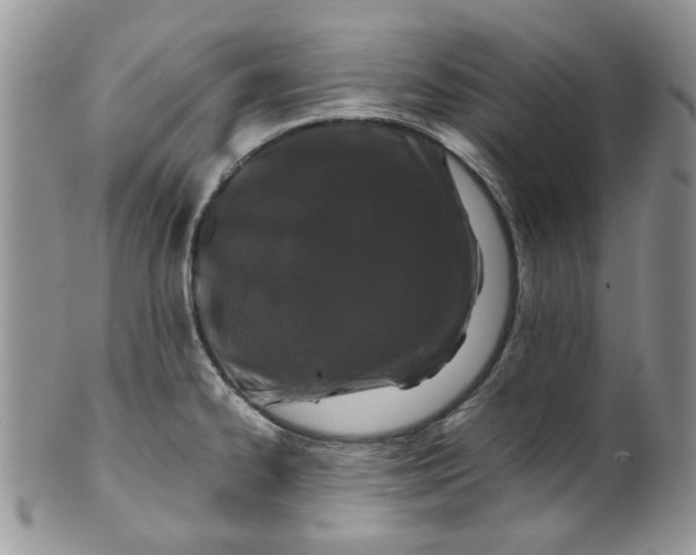 X0000099491334200806051050