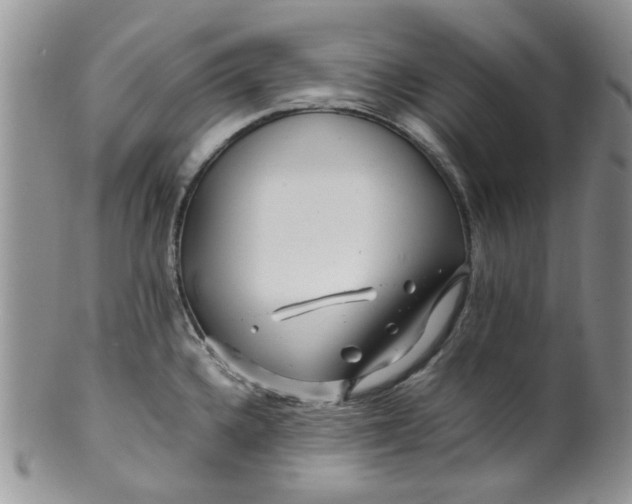 X0000099491336200806051050