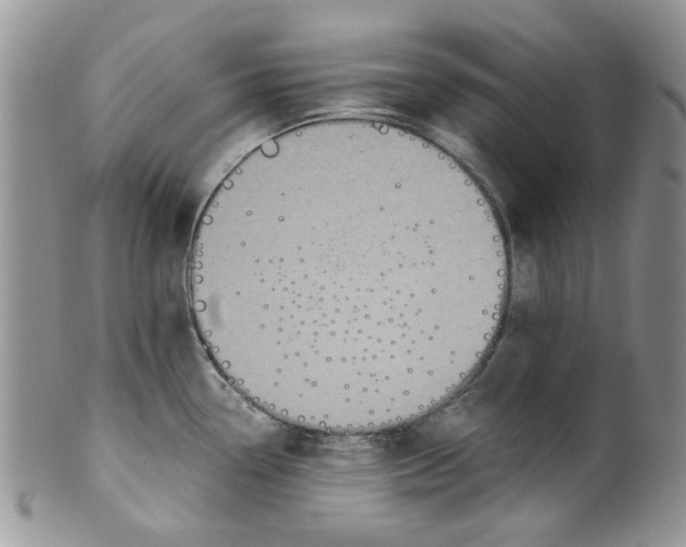 X0000099491338200806051050