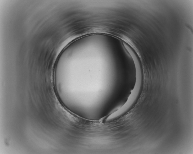 X0000099491339200806051050