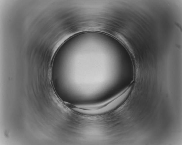 X0000099491340200806051050