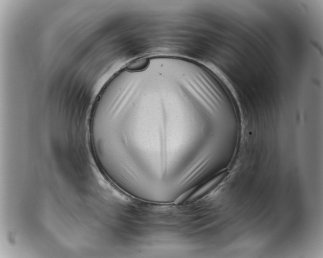 X0000099491341200806051050