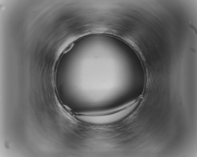 X0000099491342200806051050