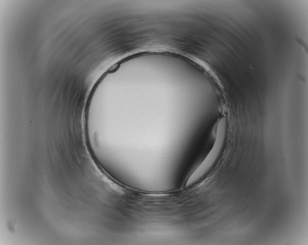 X0000099491343200806051050