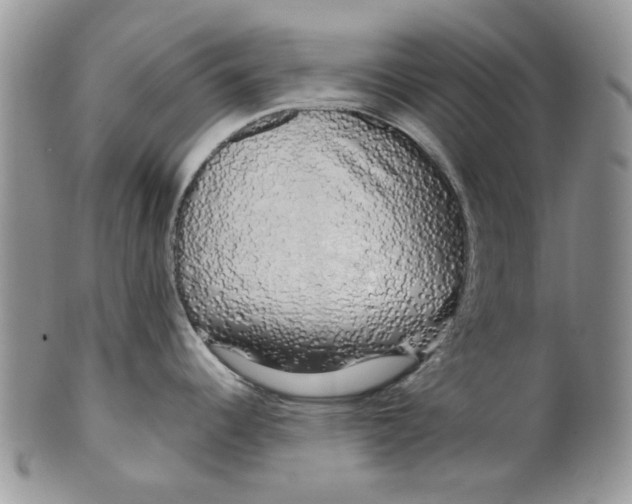 X0000099491344200806051050