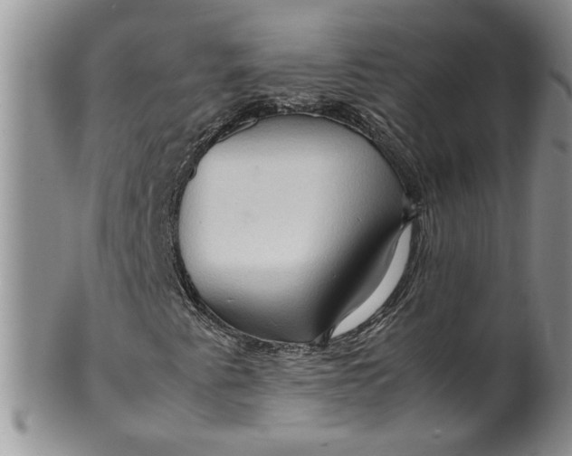 X0000099491345200806051049