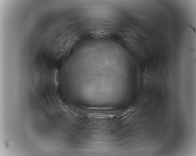 X0000099491346200806051049