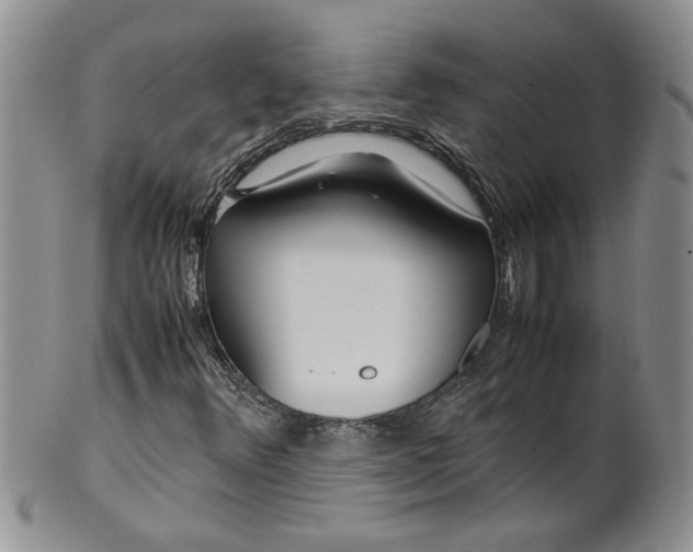 X0000099491348200806051049