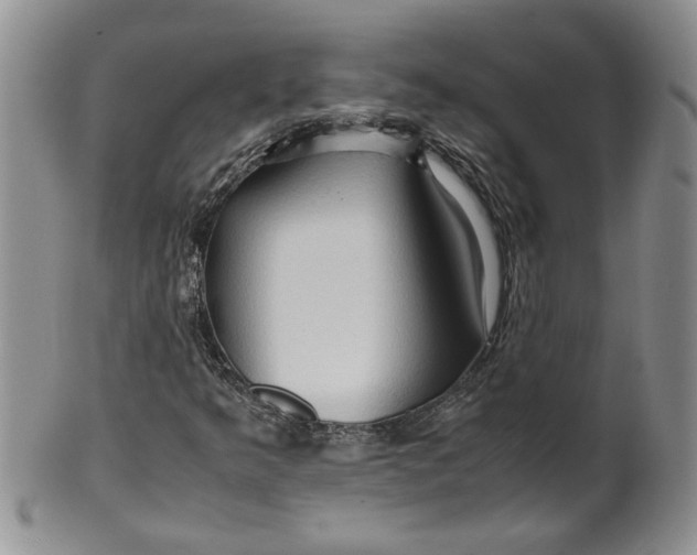 X0000099491349200806051049