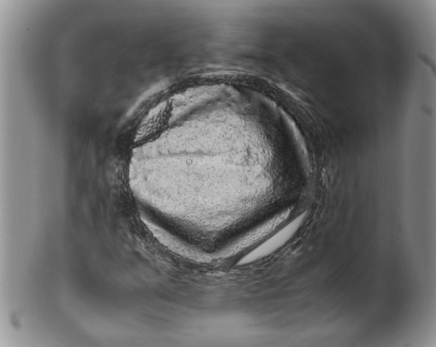 X0000099491351200806051049