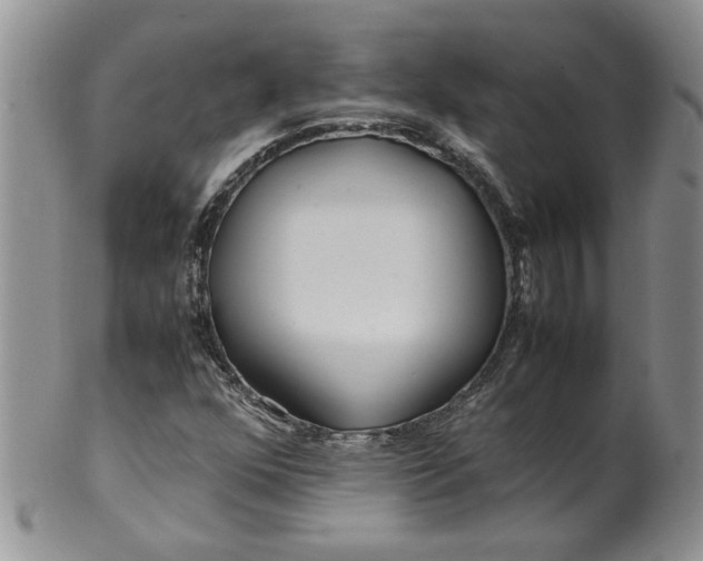 X0000099491352200806051049