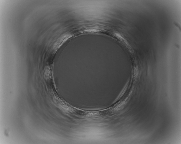 X0000099491353200806051049