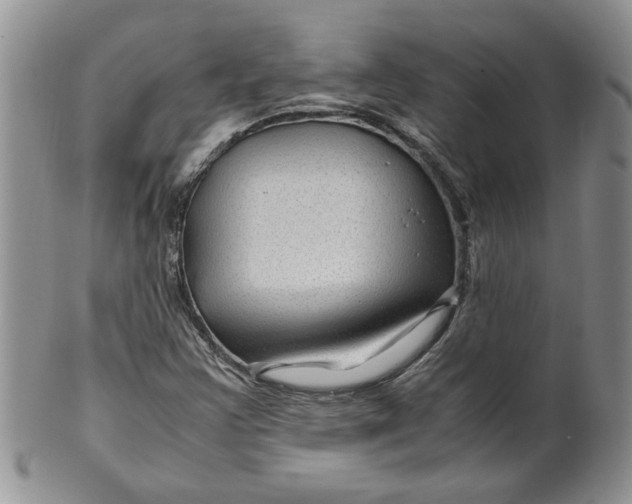 X0000099491355200806051049