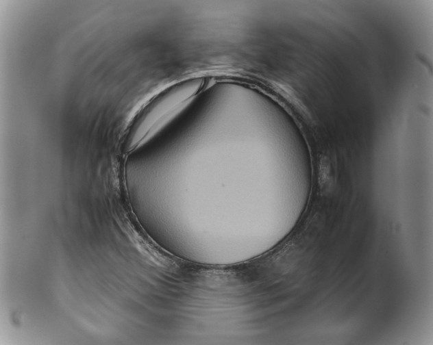 X0000099491356200806051049