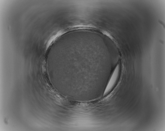 X0000099491357200806051049