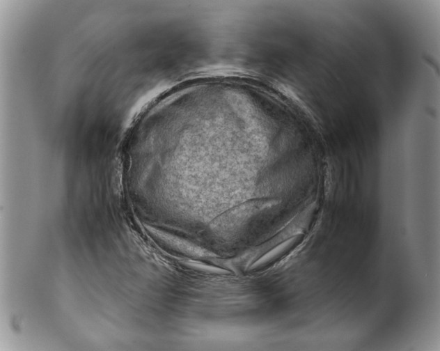 X0000099491358200806051049