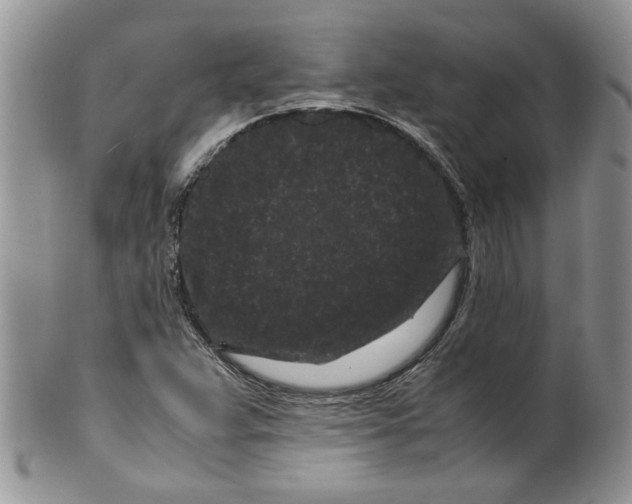 X0000099491359200806051049