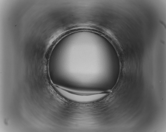 X0000099491360200806051049