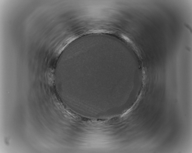 X0000099491361200806051049