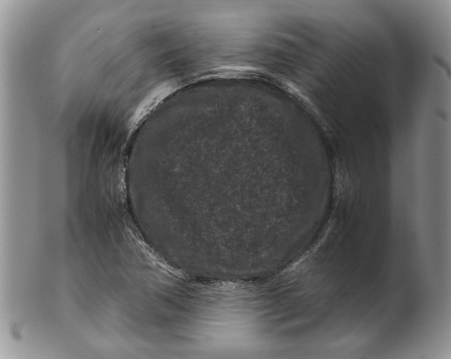 X0000099491362200806051049