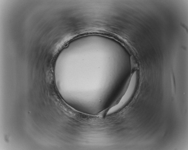 X0000099491363200806051049