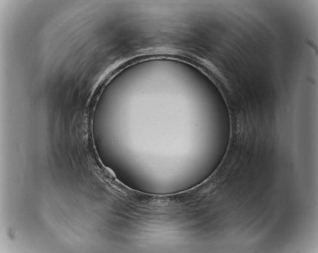 X0000099491364200806051049