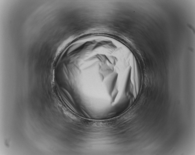 X0000099491366200806051049