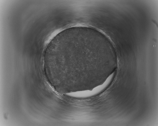 X0000099491367200806051049