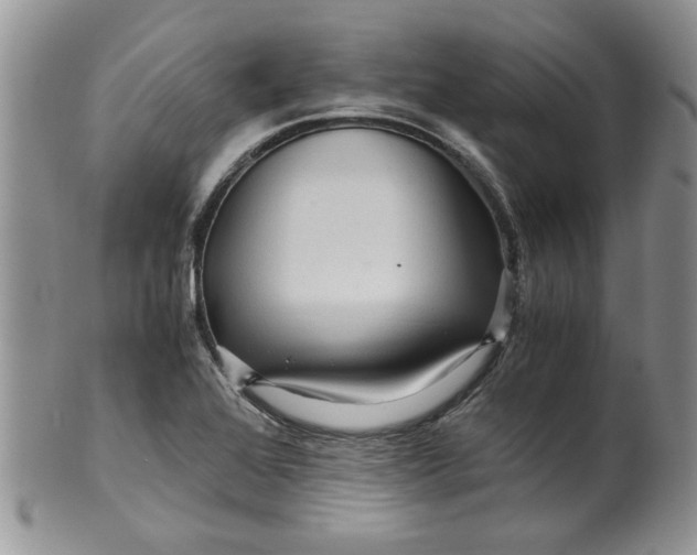 X0000099491368200806051049