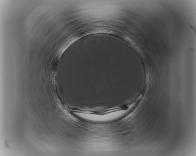 X0000099491369200806051049