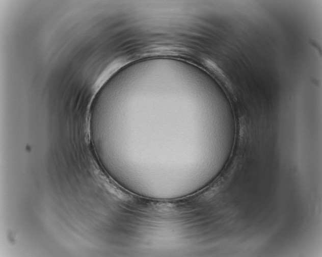 X0000099491370200806051049