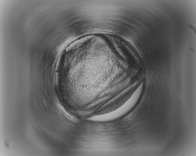 X0000099491371200806051049