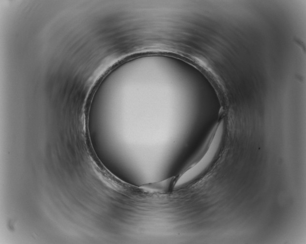 X0000099491372200806051049