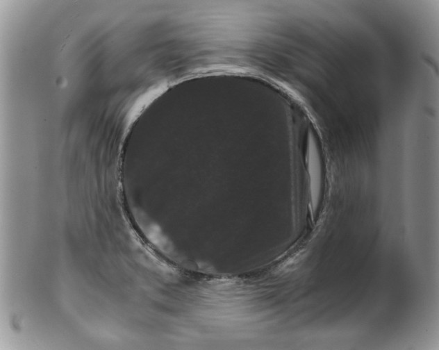 X0000099491373200806051049