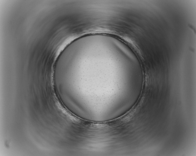 X0000099491374200806051049