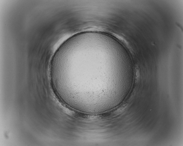 X0000099491375200806051049