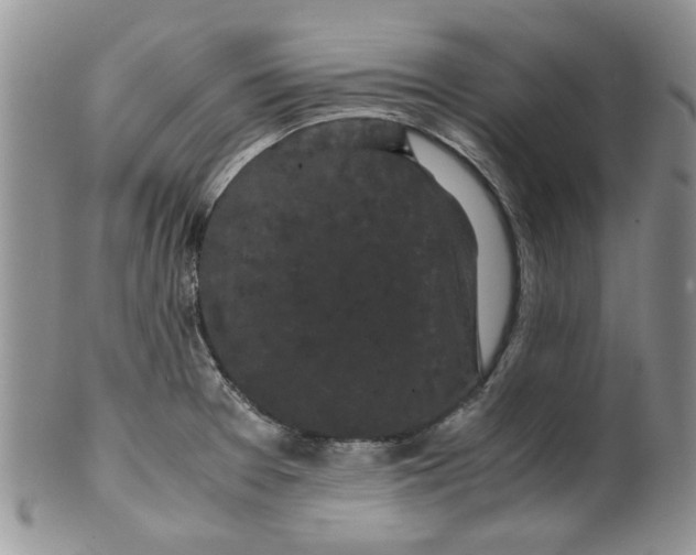 X0000099491377200806051049