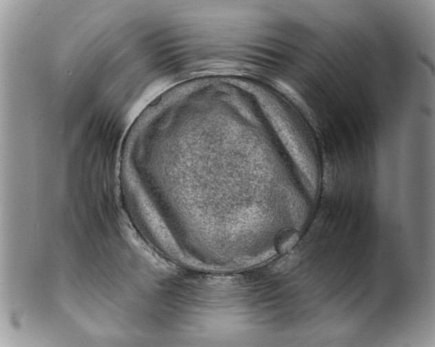 X0000099491378200806051049