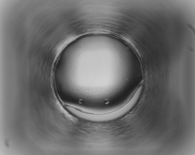 X0000099491379200806051049