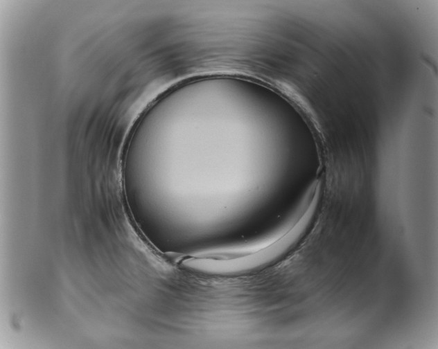 X0000099491380200806051049