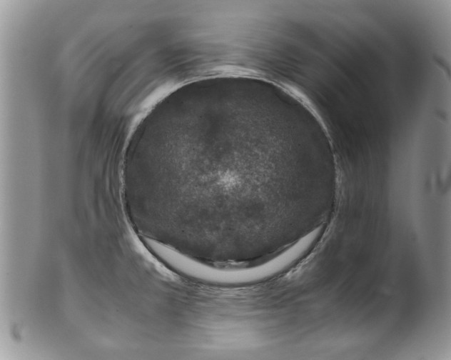 X0000099491381200806051049