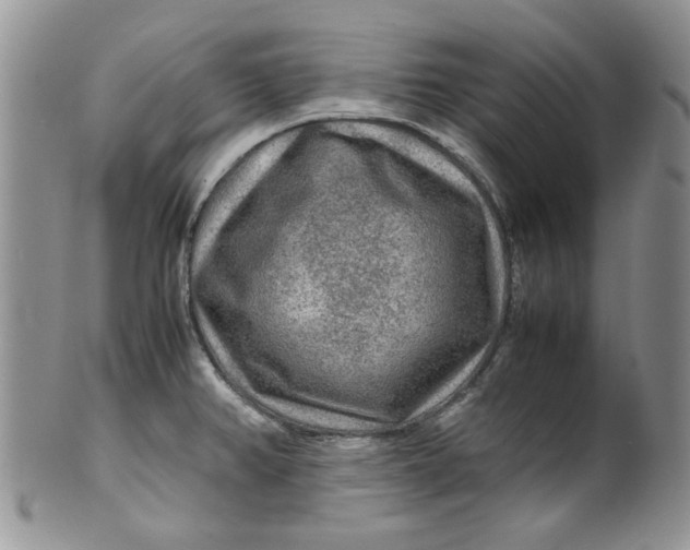 X0000099491382200806051049