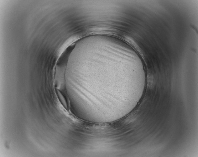 X0000099491386200806051049